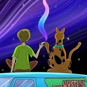 Meet your Posher, Thomas